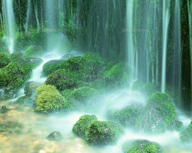 苔と水流 軽井沢町 長野県
(c)KATSUHIRO YAMANASHI/SEBUN PHOTO