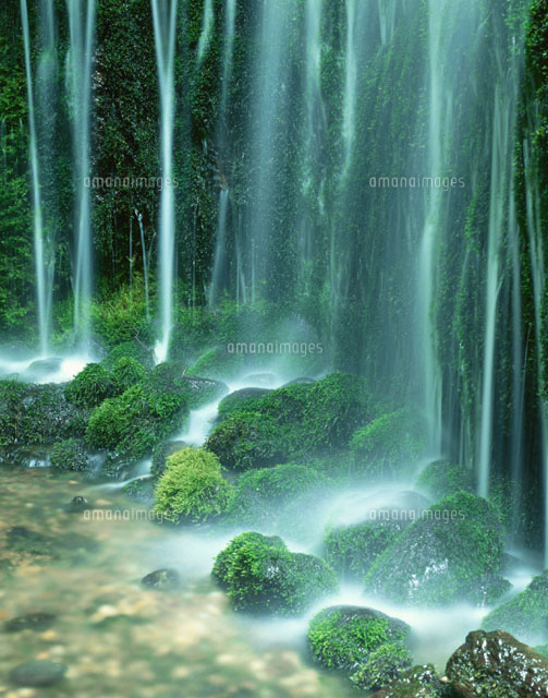 苔と水流 軽井沢町 長野県
(c)KATSUHIRO YAMANASHI/SEBUN PHOTO