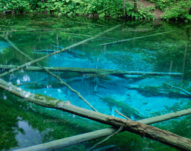 神の子池 清里町 北海道
(c)KATSUHIRO YAMANASHI/SEBUN PHOTO