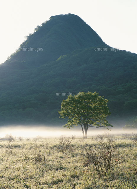 朝の沼の原 榛名町 群馬県
(c)KATSUHIRO YAMANASHI/SEBUN PHOTO