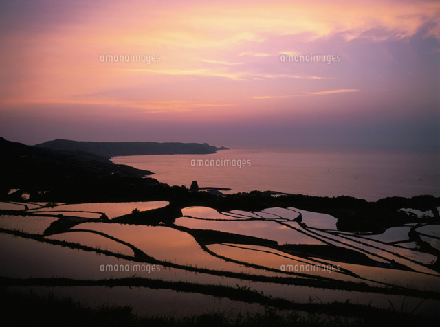 棚田の夕景 山口県
(c)KATSUHIRO YAMANASHI/SEBUN PHOTO