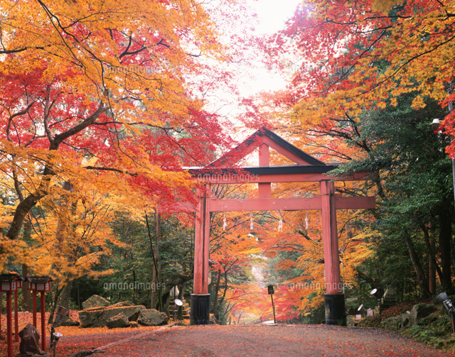 紅葉の日吉大社
(c)KATSUHIRO YAMANASHI/SEBUN PHOTO