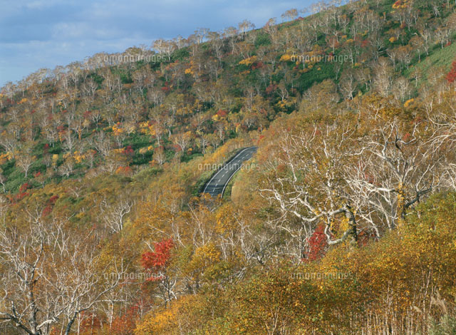 紅葉したニセコ高原と道路
(c)KATSUHIRO YAMANASHI/SEBUN PHOTO