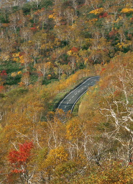 紅葉したニセコ高原と道路
(c)KATSUHIRO YAMANASHI/SEBUN PHOTO
