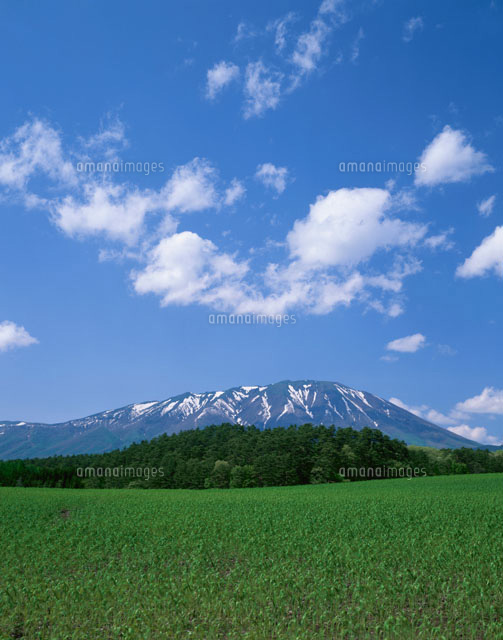 小岩井農場より岩手山
(c)KATSUHIRO YAMANASHI/SEBUN PHOTO