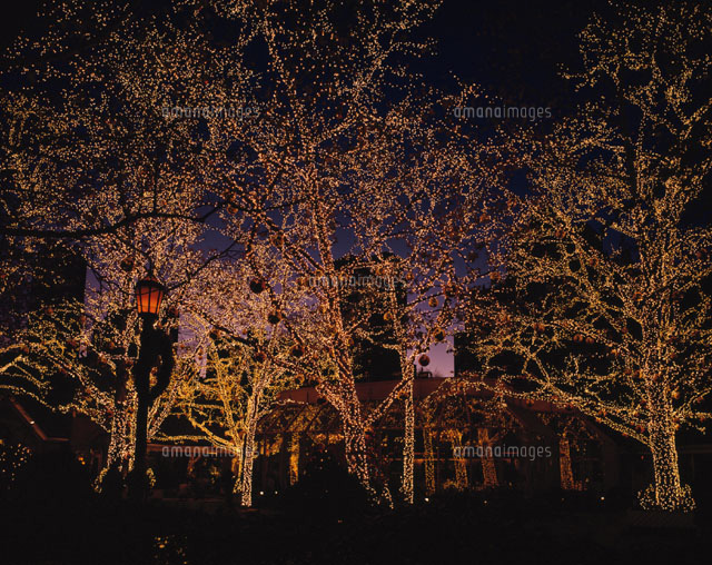 クリスマスイルミネーション ニューヨーク アメリカ
(c)ART YES CO.LTD/SEBUN PHOTO