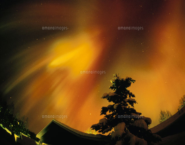 アラスカ タルキートナ オーロラと北斗七星
(c)ART YES CO.LTD/SEBUN PHOTO