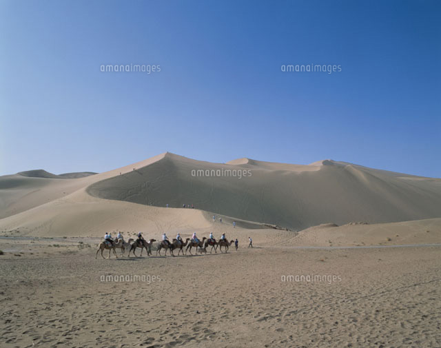 鳴沙山とラクダ シルクロード 敦煌 中国
(c)ART YES CO.LTD/SEBUN PHOTO