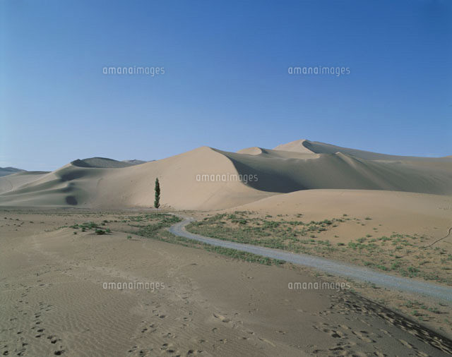 シルクロード・鳴沙山の風景 敦煌 中国
(c)ART YES CO.LTD/SEBUN PHOTO