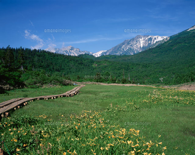 夏の栂池自然園 長野県
(c)TAKASHI AKIMOTO/SEBUN PHOTO