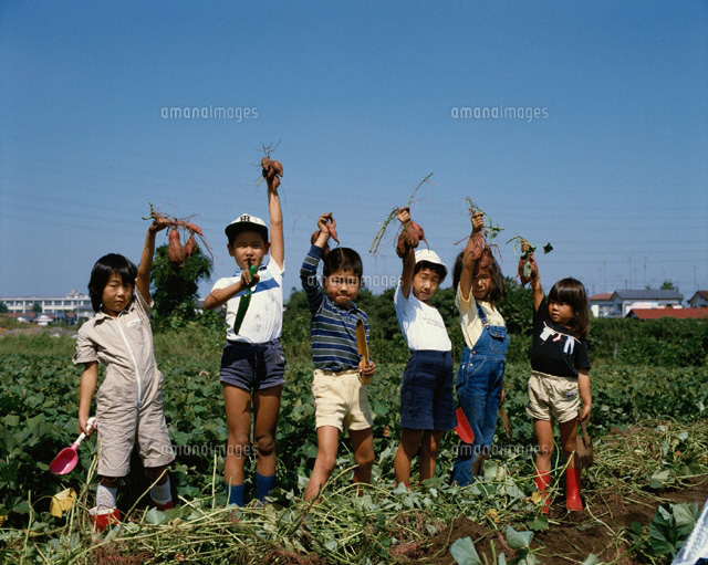 芋ほりをする日本の子供たち
(c)TSUTAE ICHIKAWA/SEBUN PHOTO