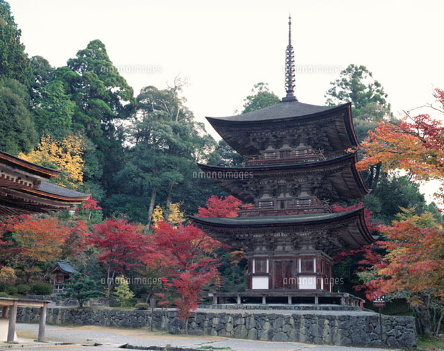 湖東三山 西明寺 甲良町 滋賀県
(c)TSUTAE ICHIKAWA/SEBUN PHOTO