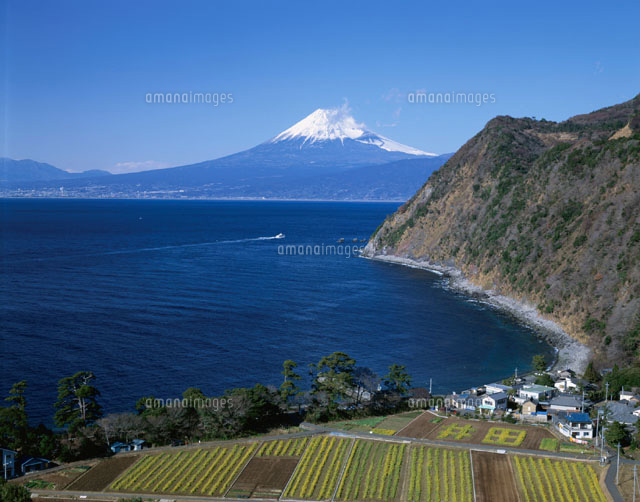 海辺の田園風景と富士山 静岡県
(c)TSUTAE ICHIKAWA/SEBUN PHOTO