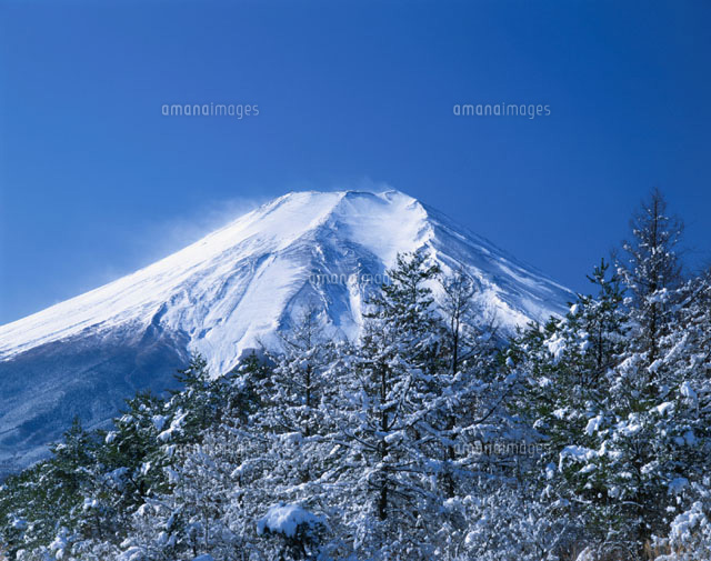 樹氷と富士山 山梨県
(c)TSUTAE ICHIKAWA/SEBUN PHOTO