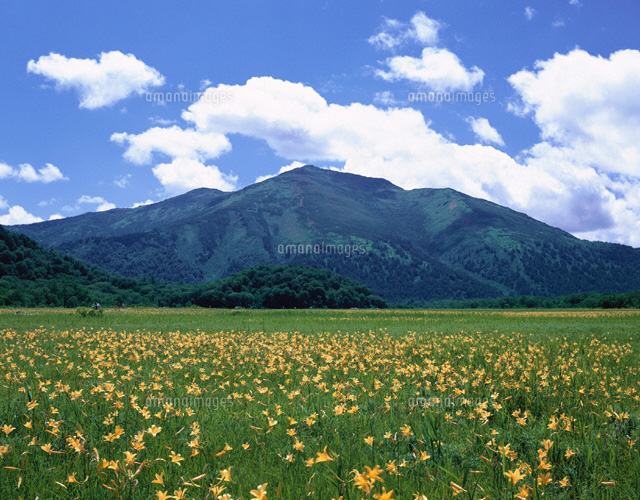 ニッコウキスゲと至仏山 尾瀬 群馬県
(c)TSUTAE ICHIKAWA/SEBUN PHOTO