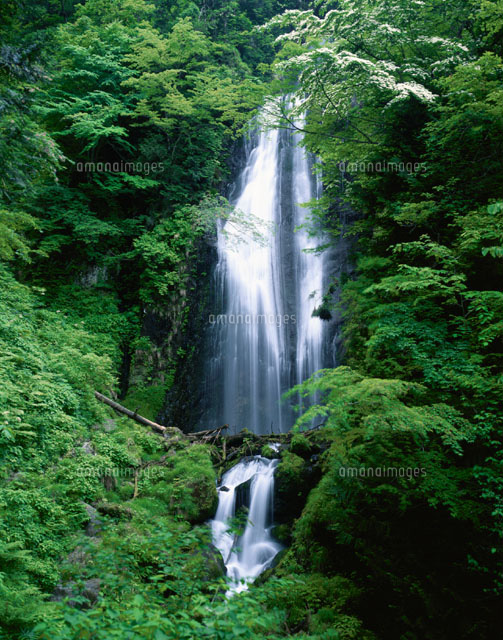 抱返渓谷・回顧の滝 角館町 秋田県
(c)TSUTAE ICHIKAWA/SEBUN PHOTO