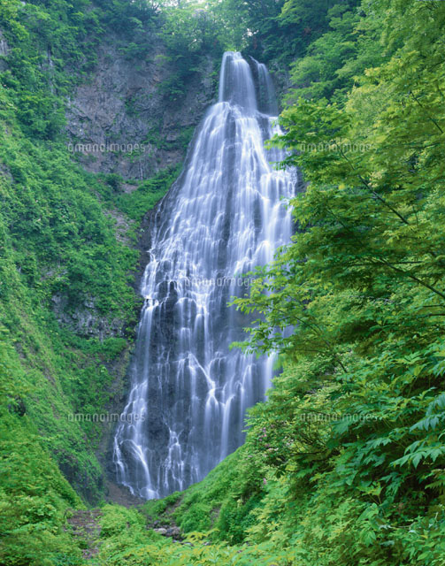 新緑のくろくまの滝 白神山地 鯵ヶ沢町 青森県
(c)TSUTAE ICHIKAWA/SEBUN PHOTO