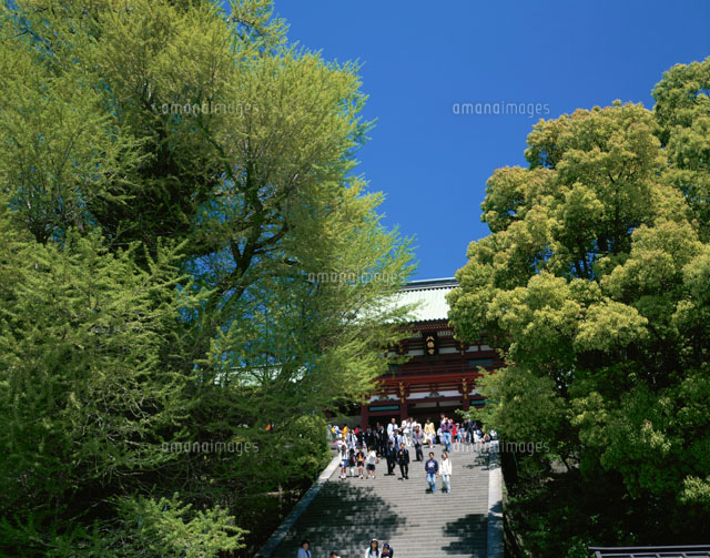 新緑の鶴岡八幡宮・舞殿 神奈川県
(c)TSUTAE ICHIKAWA/SEBUN PHOTO