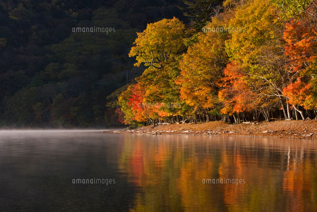 紅葉の中禅寺湖畔
(c)TETSUO SAYAMA/SEBUN PHOTO