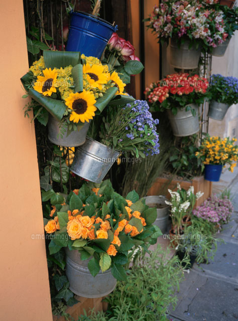 花屋の店先 パリ フランス
(c)TARO OKAMOTO/orion