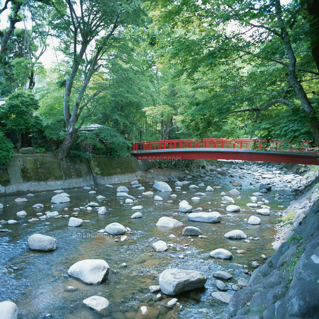 桂川と桂橋
(c)AKIRA KAEDE/SEBUN PHOTO