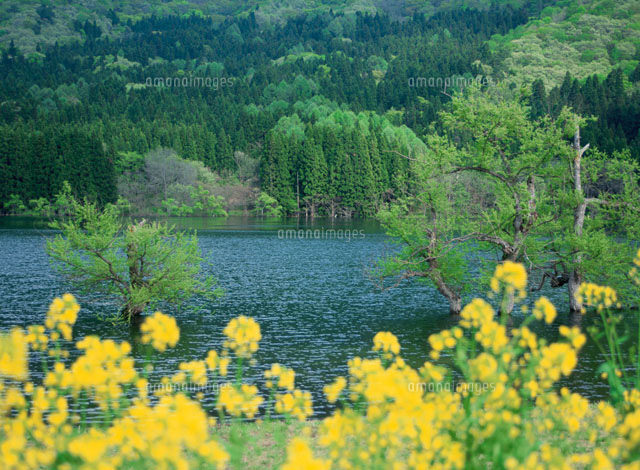 北竜湖
(c)AKIRA KAEDE/SEBUN PHOTO