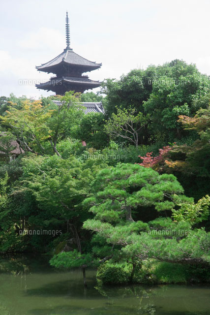 仁和寺宸殿の北庭から望む五重塔
(c)AKIRA KAEDE/SEBUN PHOTO