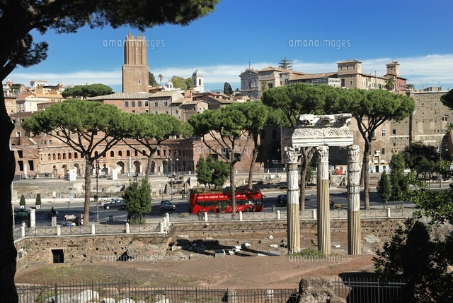 Cesar's forum. Columns of the temple of Venus Genetrix
(c)LUCIO RUIZ PASTOR/SEBUN PHOTO