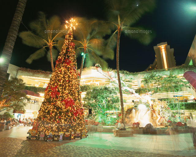 クリスマスイルミネーション ワイキキ オアフ島 ハワイ
(c)TOMOYOSHI OSHIYAMA/SEBUN PHOTO