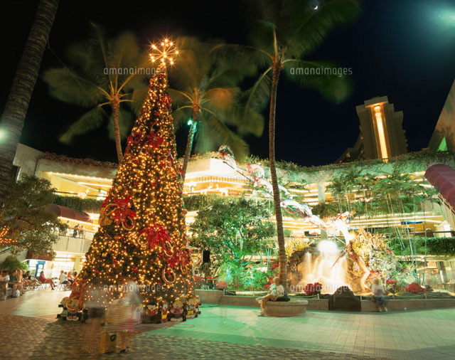 クリスマスイルミネーション ワイキキ ハワイ
(c)TOMOYOSHI OSHIYAMA/SEBUN PHOTO