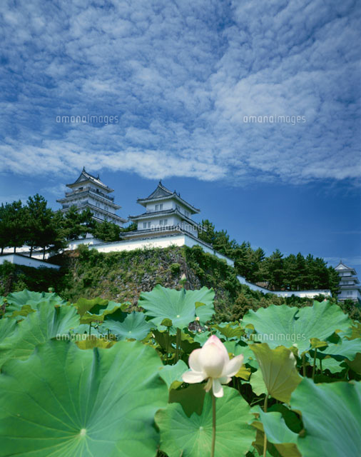 島原城 島原市 長崎県
(c)YOSHIO SHINKAI/SEBUN PHOTO