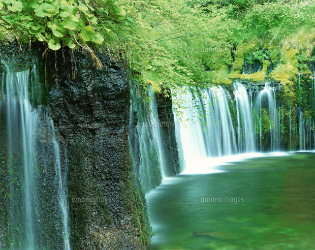 白糸の滝 長野県
(c)YOSHIO SHINKAI/SEBUN PHOTO