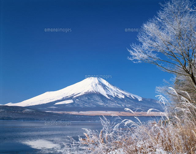 冬の山中湖と富士山 山梨県
(c)YOSHIO SHINKAI/SEBUN PHOTO