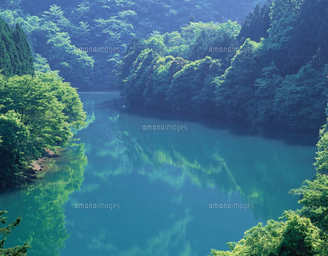 新緑の多摩川 東京都
(c)YOSHIO SHINKAI/SEBUN PHOTO