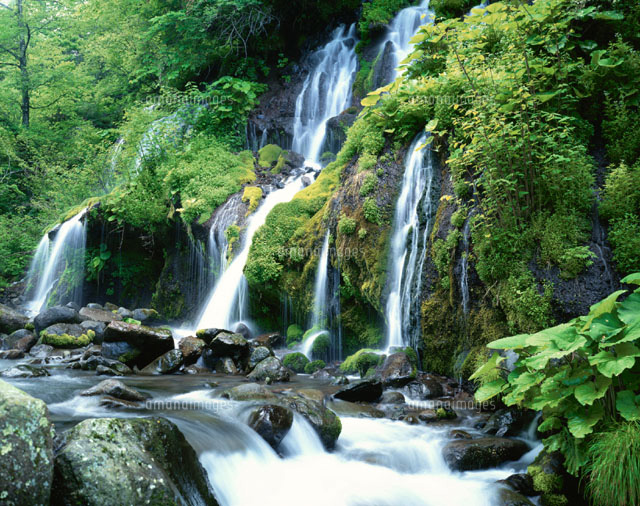 吐竜ノ滝 山梨県
(c)YOSHIO SHINKAI/SEBUN PHOTO