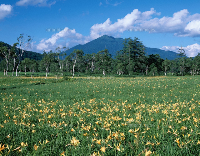 夏の尾瀬ヶ原と燧ヶ岳 群馬県
(c)YOSHIO SHINKAI/SEBUN PHOTO
