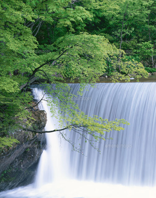 新緑の湯檜曽川の滝 初夏 水上町 群馬県
(c)YOSHIO SHINKAI/SEBUN PHOTO