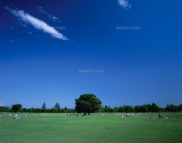 国営昭和記念公園 立川市 東京都
(c)YOSHIO SHINKAI/SEBUN PHOTO