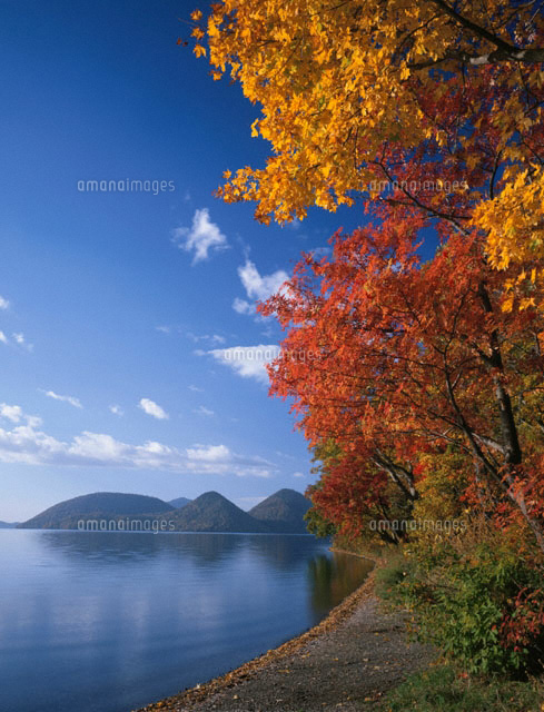 紅葉の洞爺湖 北海道
(c)YOSHIO SHINKAI/SEBUN PHOTO