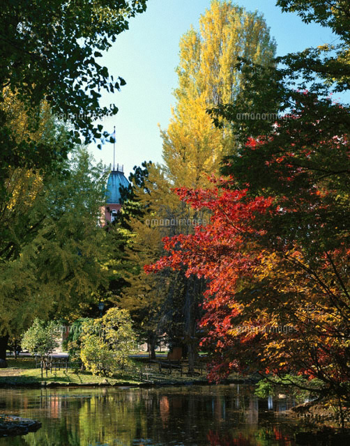 紅葉の北海道庁の風景 秋 札幌 北海道
(c)YOSHIO SHINKAI/SEBUN PHOTO