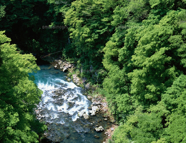 新緑の多摩川 奥多摩町 東京都
(c)YOSHIO SHINKAI/SEBUN PHOTO