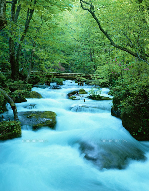 奥入瀬渓流の流れ 十和田湖町 青森県
(c)YOSHIO SHINKAI/SEBUN PHOTO