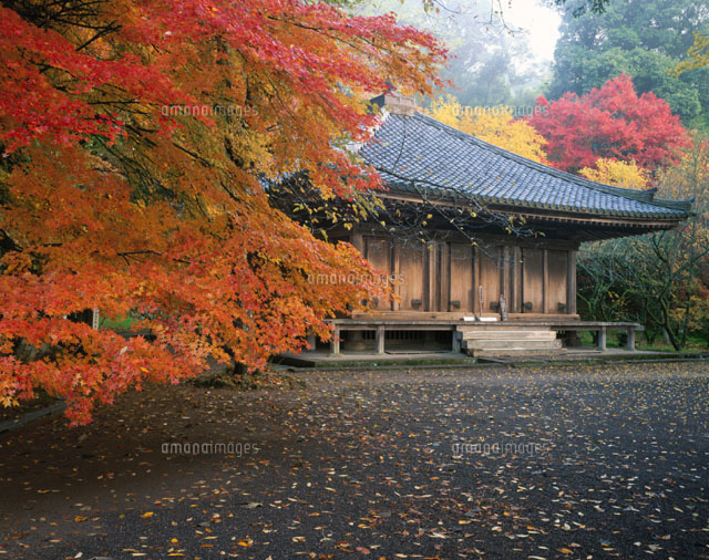 富貴寺 豊後高田市 大分県
(c)YOSHIO SHINKAI/SEBUN PHOTO