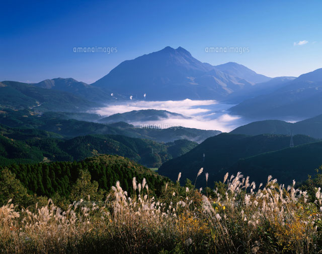 湯布院の朝霧と由布岳 湯布院町 大分県
(c)YOSHIO SHINKAI/SEBUN PHOTO