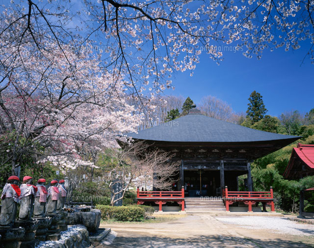 桜と音楽寺 秩父市 埼玉県
(c)YOSHIO SHINKAI/SEBUN PHOTO