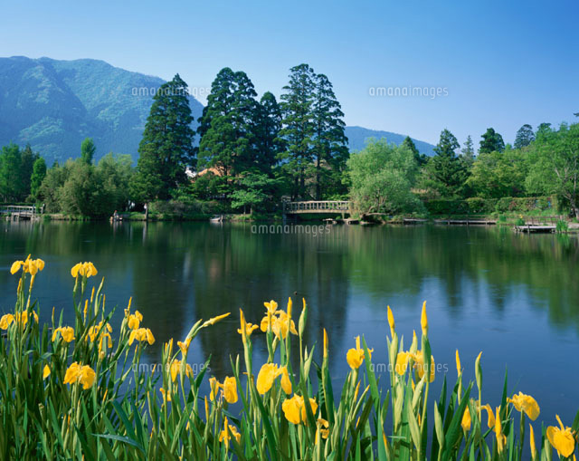 金鱗湖 湯布院町 大分県
(c)YOSHIO SHINKAI/SEBUN PHOTO