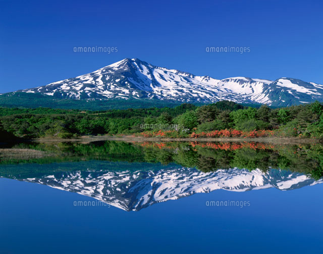 ツツジ咲く大谷地池と鳥海山
(c)YOSHIO SHINKAI/SEBUN PHOTO
