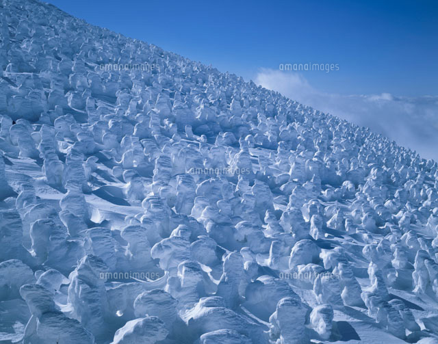 冬の蔵王の樹氷
(c)YOSHIO SHINKAI/SEBUN PHOTO