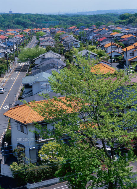 住宅地
(c)YOSHIO SHINKAI/SEBUN PHOTO
