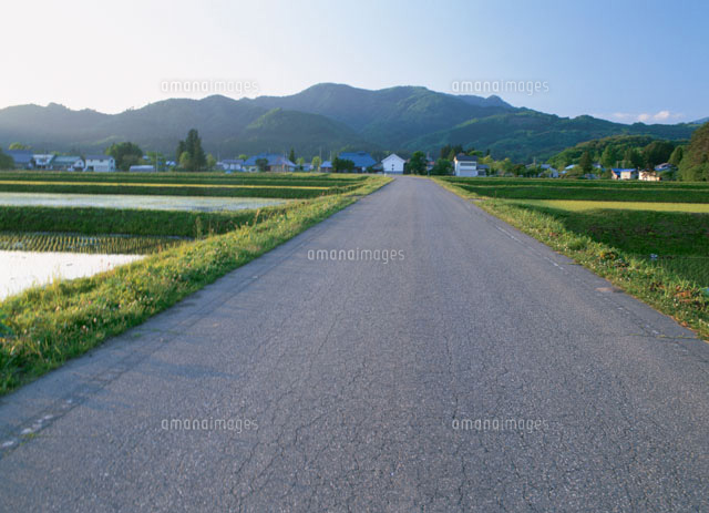 山村の道
(c)YOSHIO SHINKAI/SEBUN PHOTO
